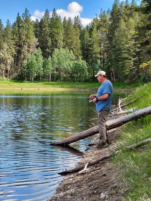Swisher Lake Campground Picture 6