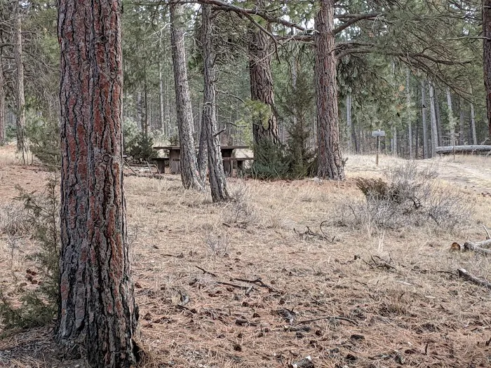 Gateway Campground Picture 9