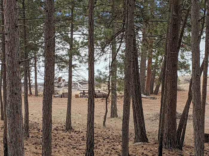 Gateway Campground Picture 1