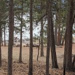 Gateway Campground