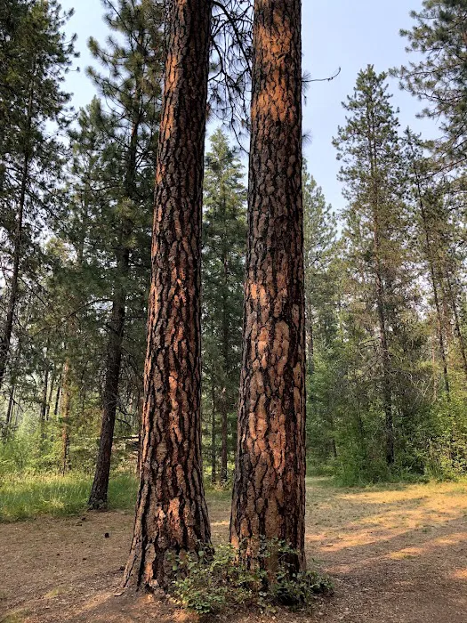 Sloway Campground Picture 5