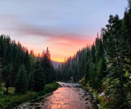 Cedars Campground