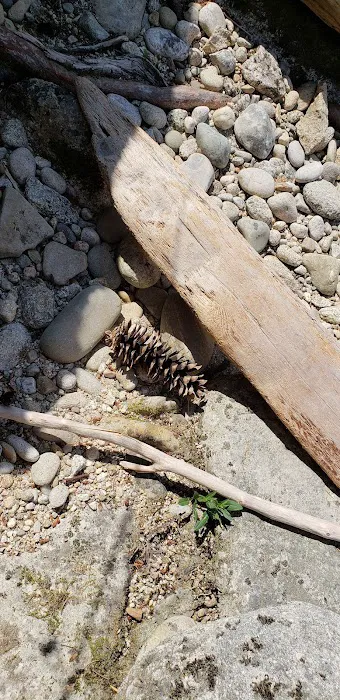 Washington Creek Campground Picture 7
