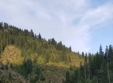 Washington Creek Campground