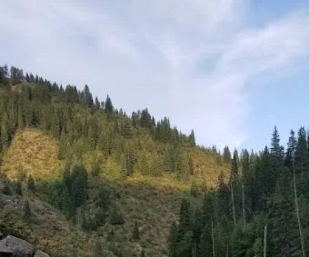 Washington Creek Campground