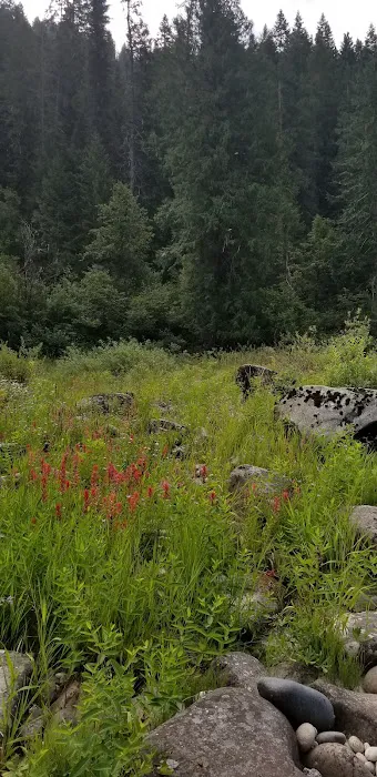 Washington Creek Campground Picture 10