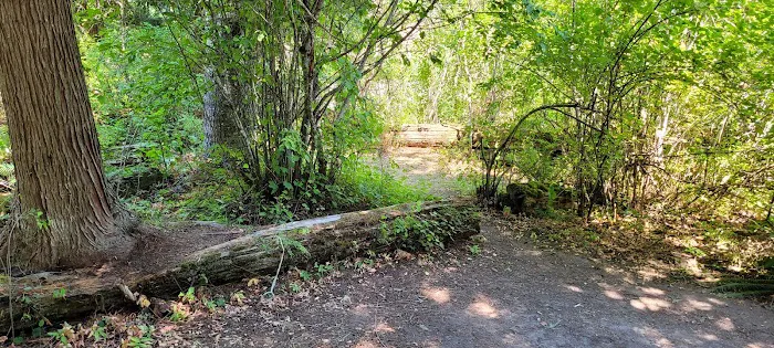 Washington Creek Campground Picture 8