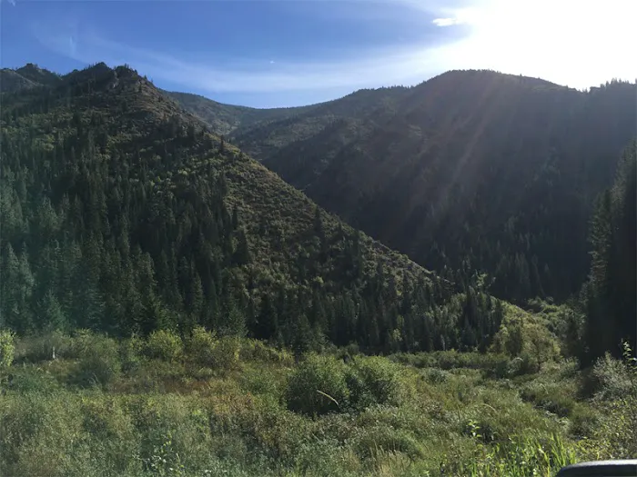 Kelly Forks Campground Picture 4