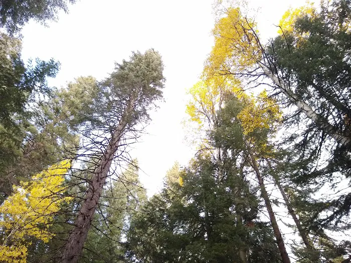 Scott Creek Campground Picture 2