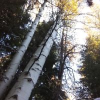Scott Creek Campground ico