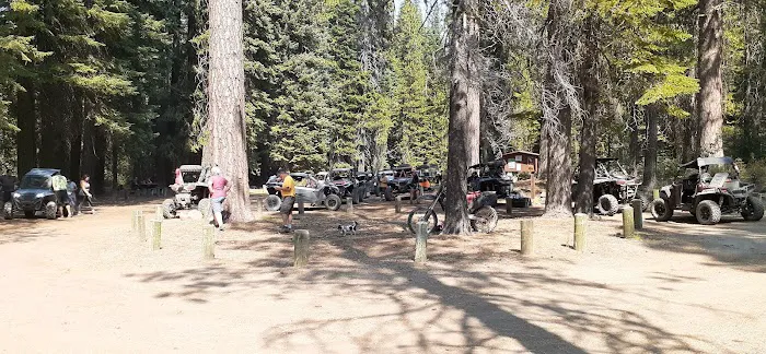 Scott Creek Campground Picture 9