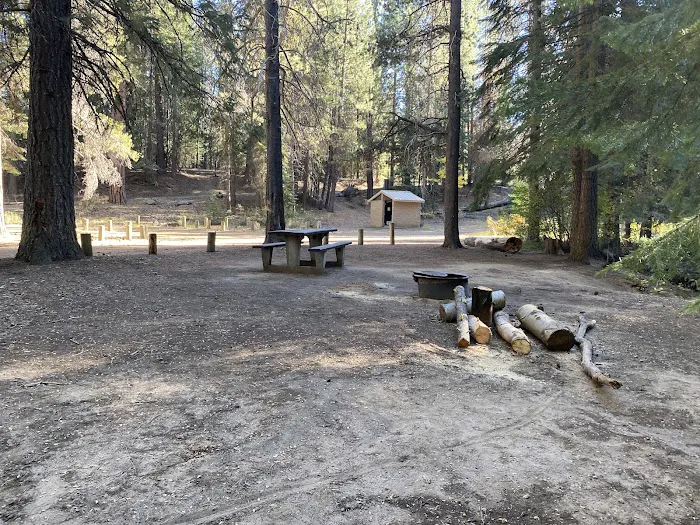 Scott Creek Campground Picture 6