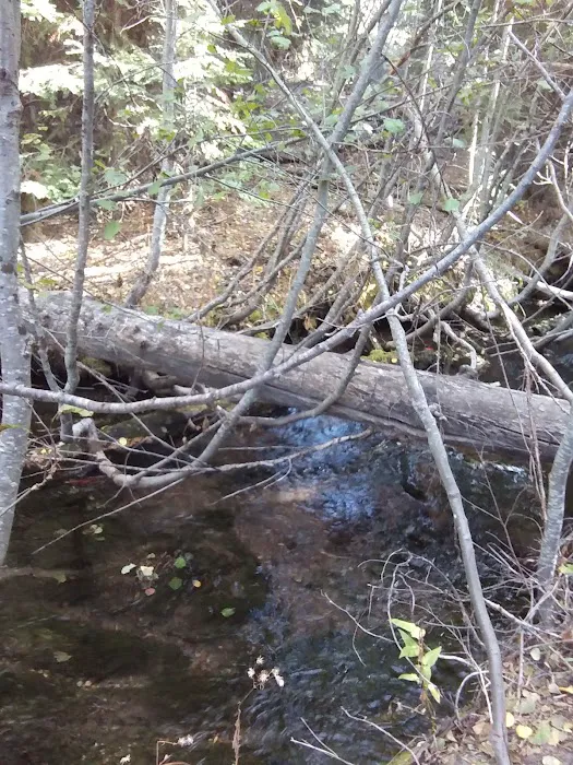 Scott Creek Campground Picture 7