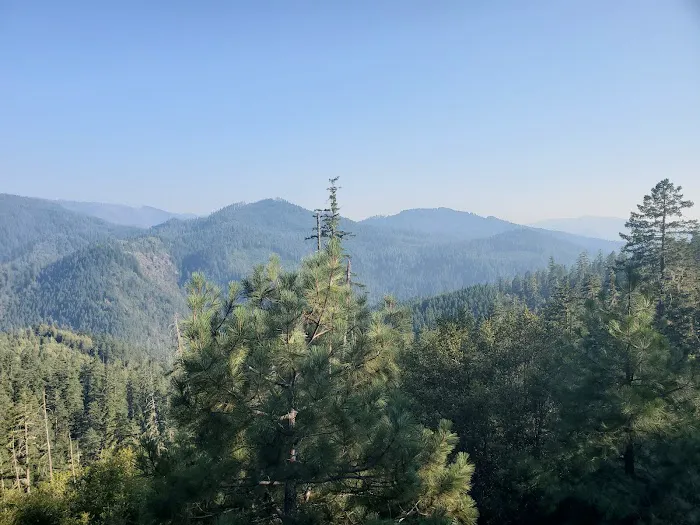 Bear Camp Viewpoint Picture 4