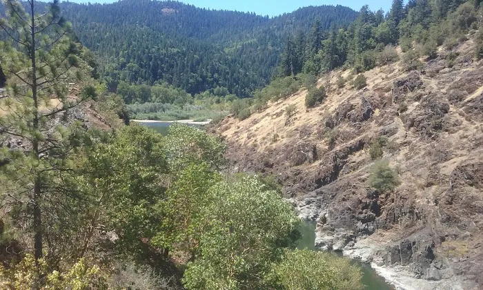 Bear Camp Viewpoint Picture 2