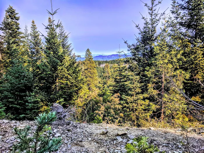 Bear Camp Viewpoint Picture 9