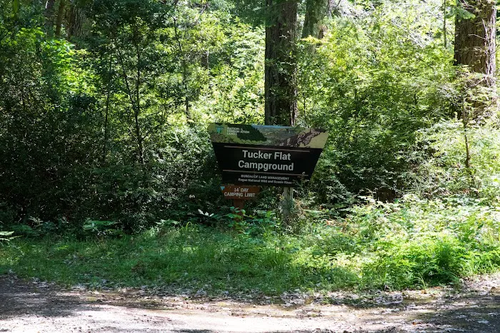 Tucker Flat Campground Picture 6