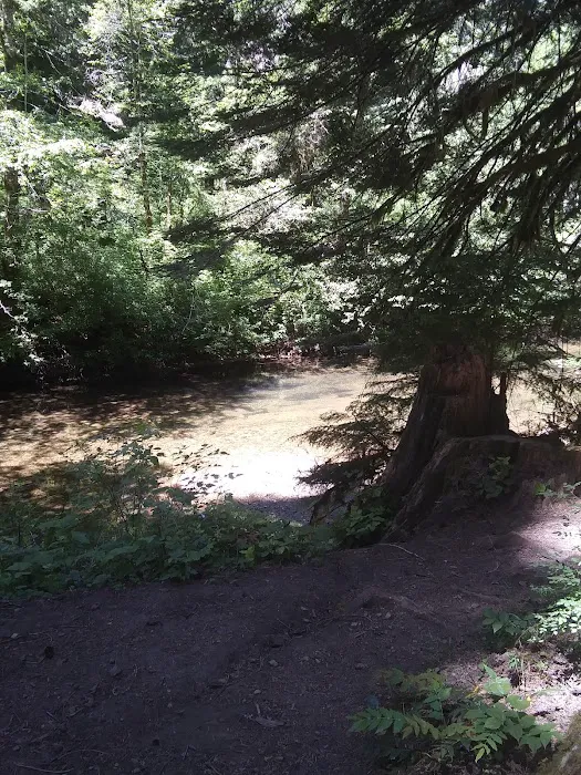 Eden Valley Campground Picture 1