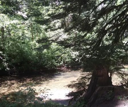 Eden Valley Campground