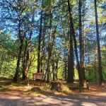 Rock Creek Campground