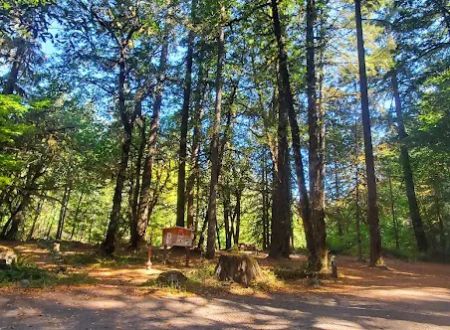 Rock Creek Campground