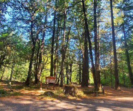 Rock Creek Campground