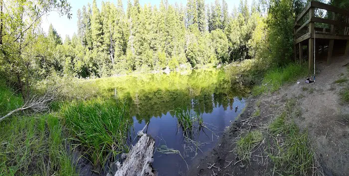 Sru Lake Campground Picture 10