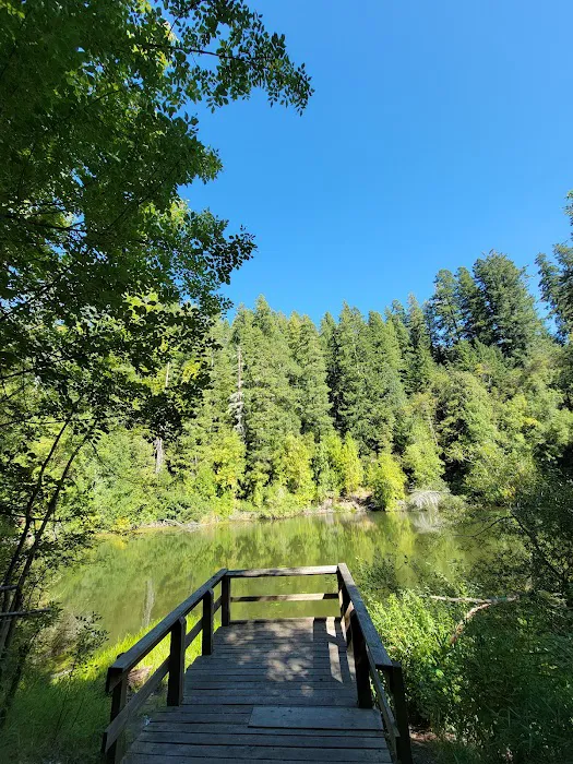 Sru Lake Campground Picture 8