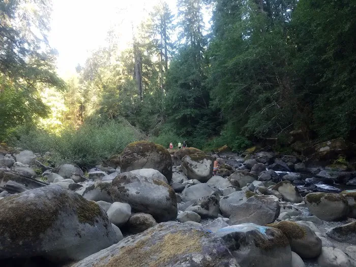 island campground Picture 2