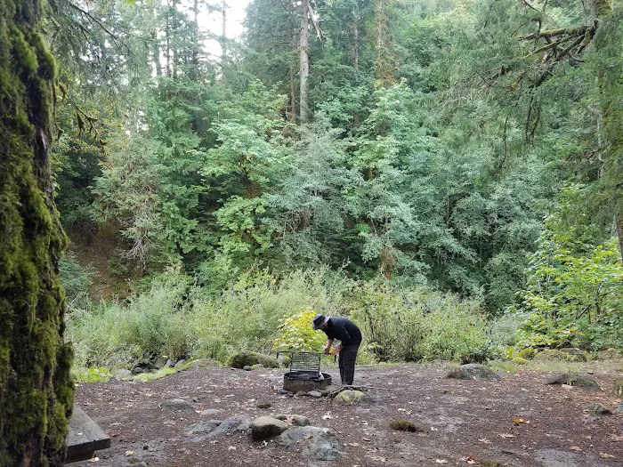 island campground Picture 4