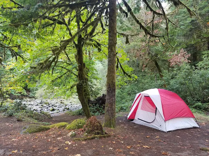 island campground Picture 8