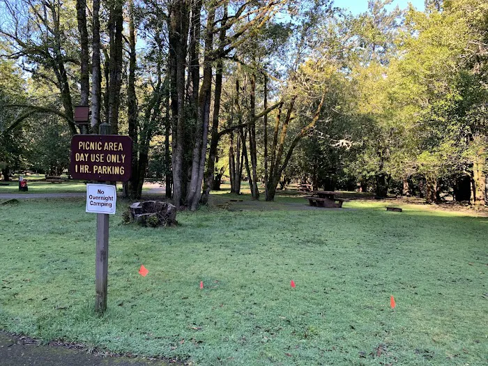 Quosatana Campground Picture 6