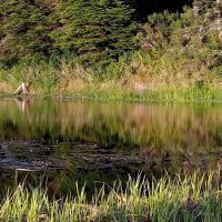 Indian Creek Campground ico