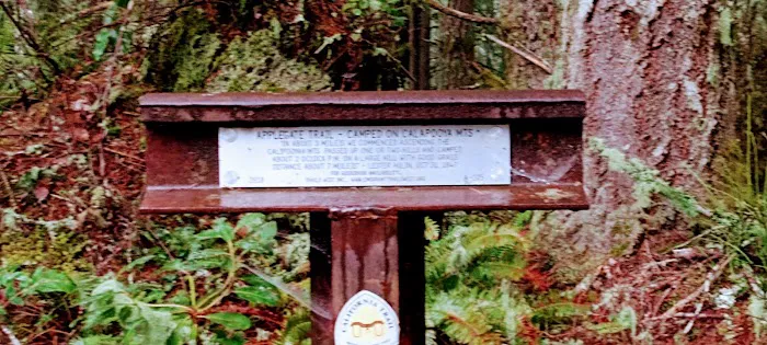 Daphne Grove Campground Picture 5