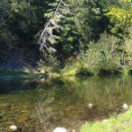 Daphne Grove Campground