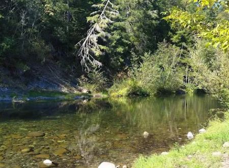 Daphne Grove Campground
