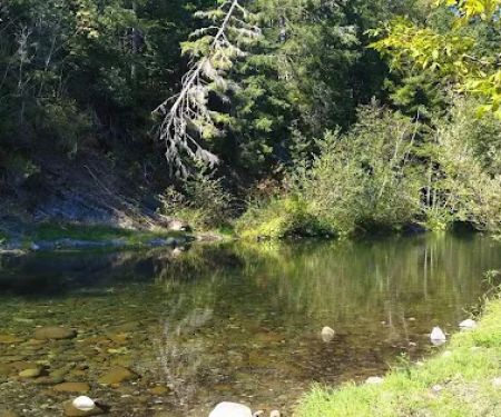 Daphne Grove Campground