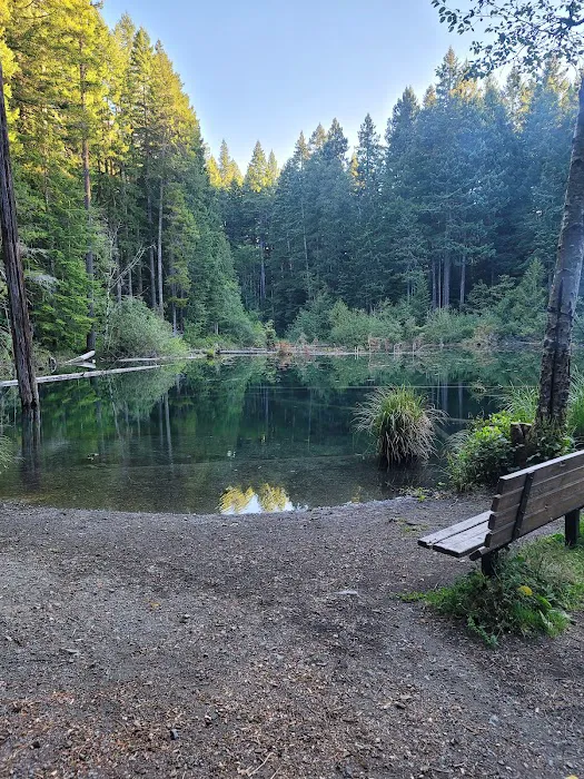 Laird Lake Campground Picture 2