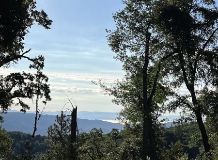 White Oaks Campground