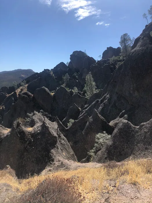 Pinnacles Campground Store Picture 6