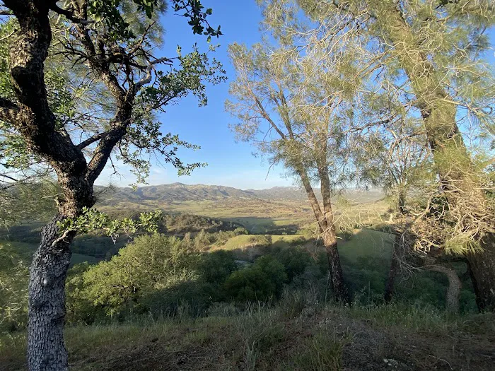 Laguna Mountain Picture 8