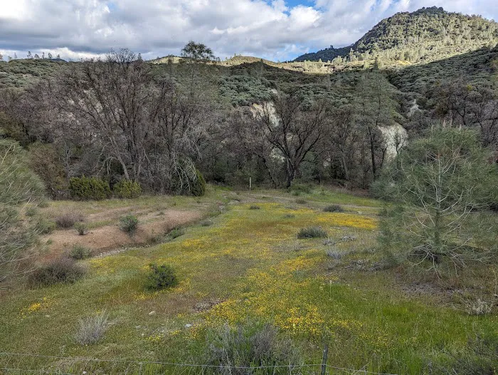 Jade Mill Campground Picture 6