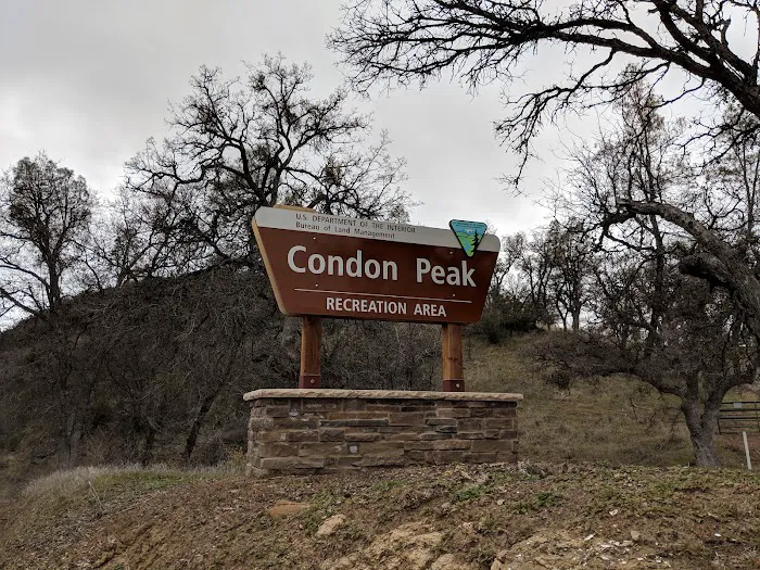 Condon Peak Recreation Area Picture 7