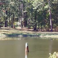 Stuart Lake Campground ico