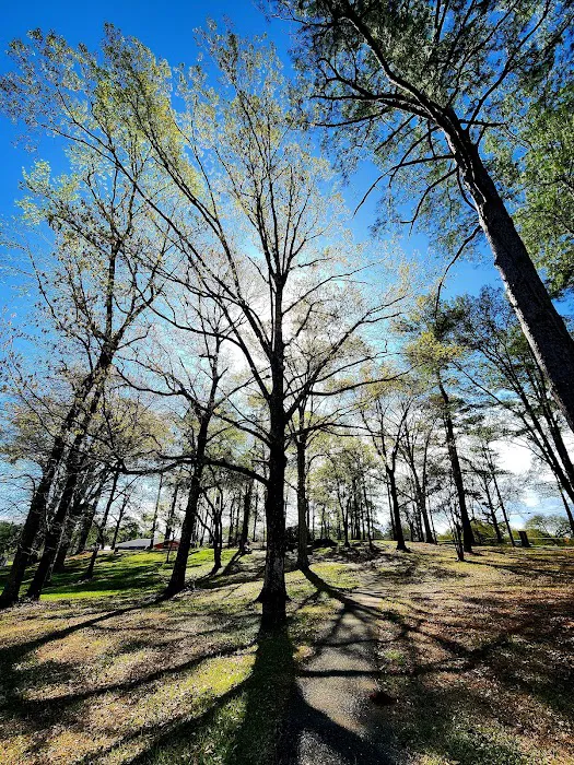 US Forest Service Picture 6