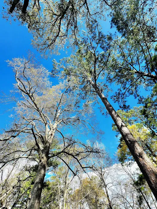 US Forest Service Picture 3