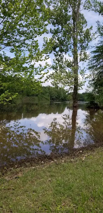 Brad's Old Ferry Landing Campground & RV Park Picture 6