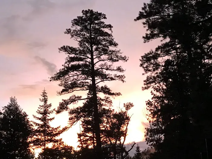 E.V. Long Campground Picture 10