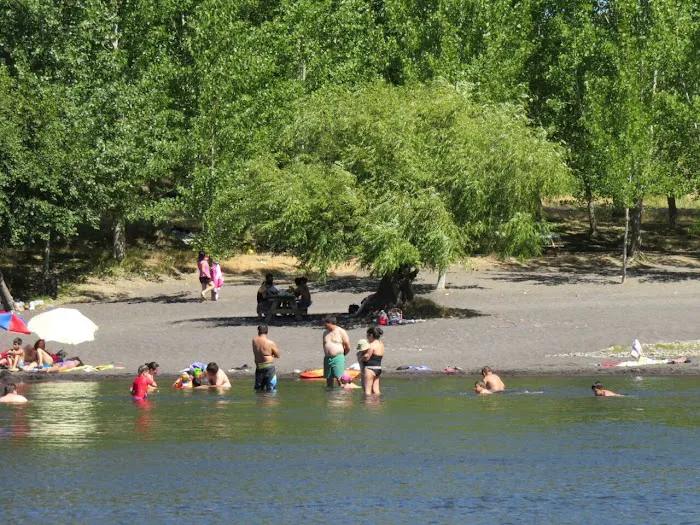 El Porvenir Campground Picture 7