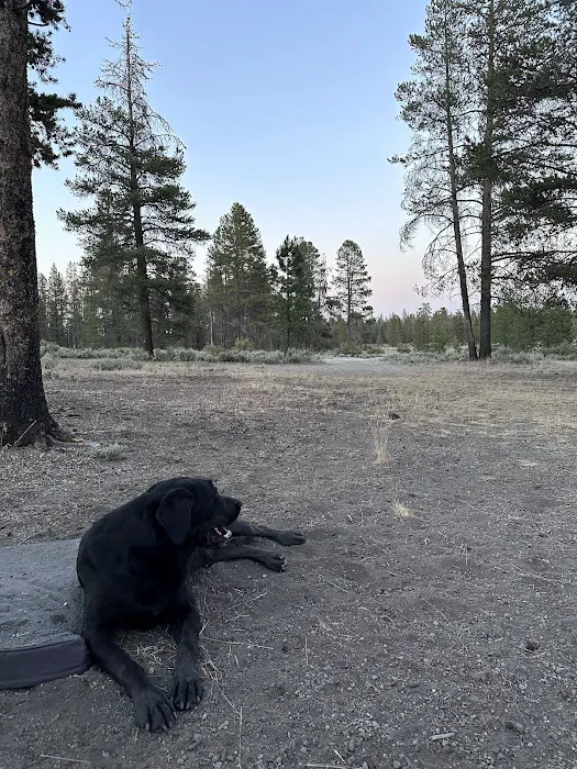 Sand Springs Campground Picture 4